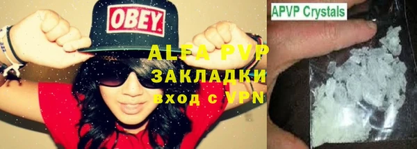 ECSTASY Гусев