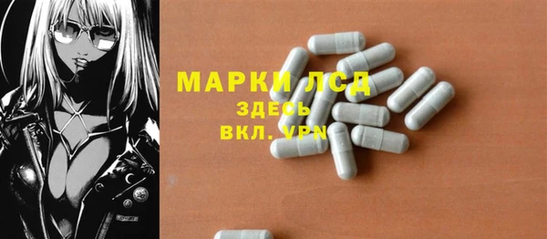 ECSTASY Гусев