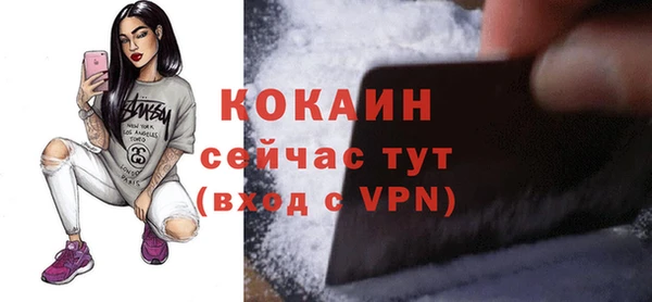 тгк Гусь-Хрустальный