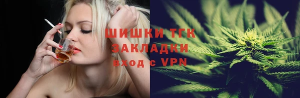 тгк Гусь-Хрустальный
