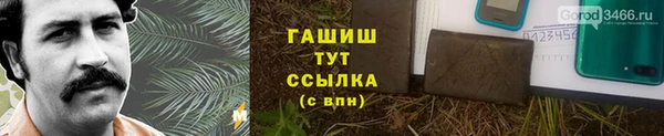 ECSTASY Гусев
