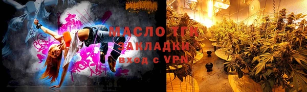 тгк Гусь-Хрустальный