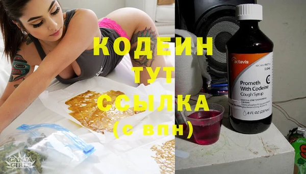 тгк Гусь-Хрустальный
