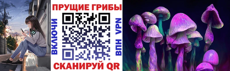 Галлюциногенные грибы Cubensis Зима