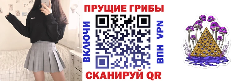 Купить закладки  Зима  Галлюциногенные грибы Cubensis 
